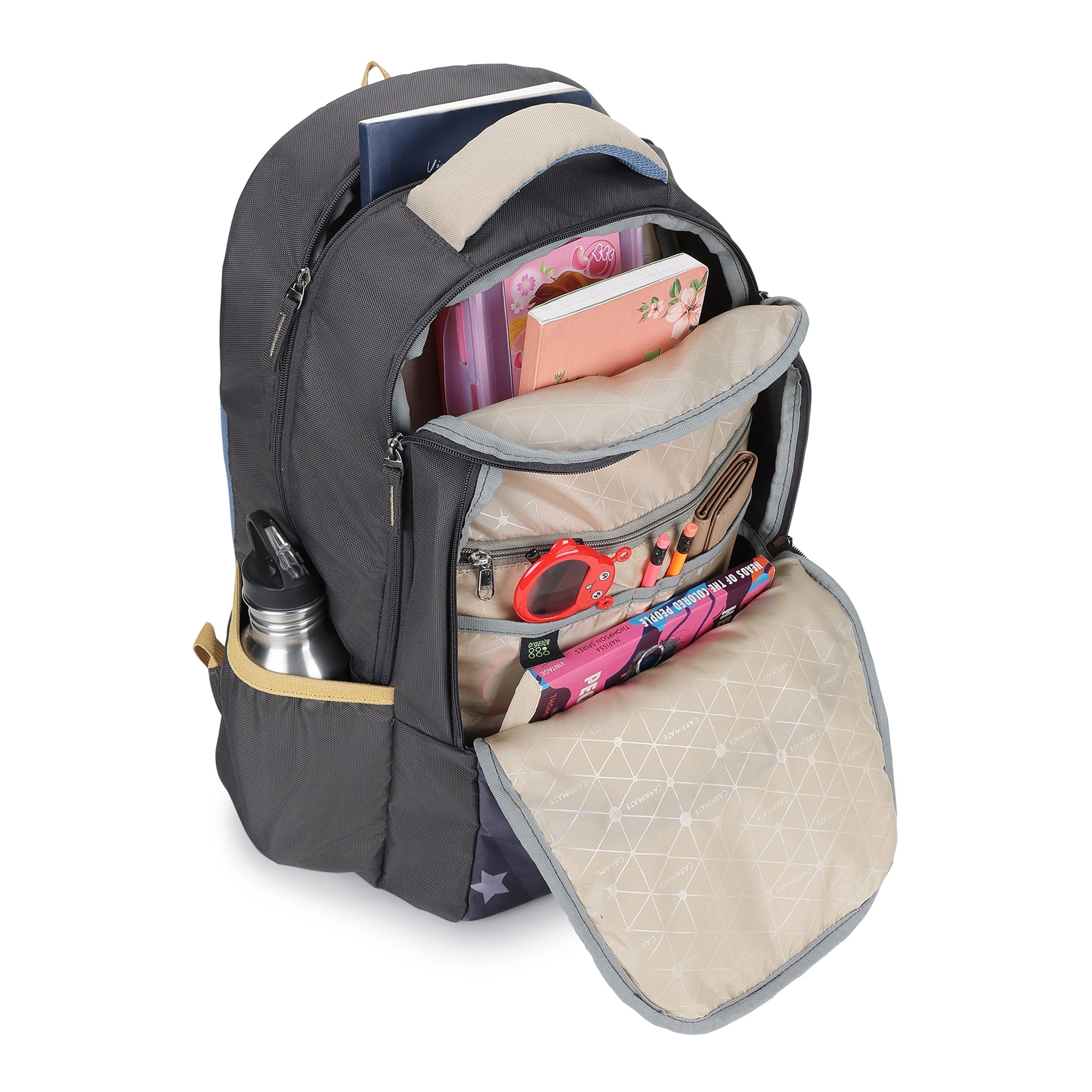 AEROPACK- BACKPACK